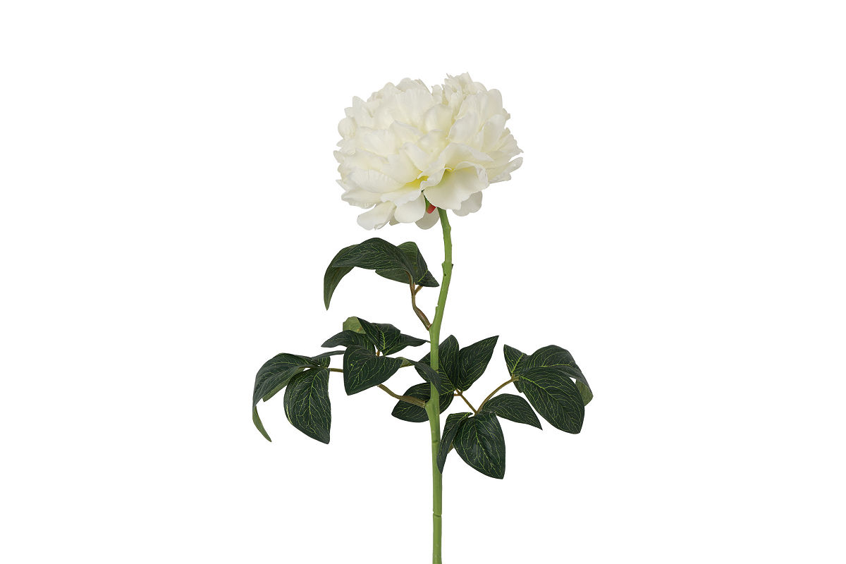 Countryfield Kunstbloem Paeonia Rosaline wit 5x14x44cm