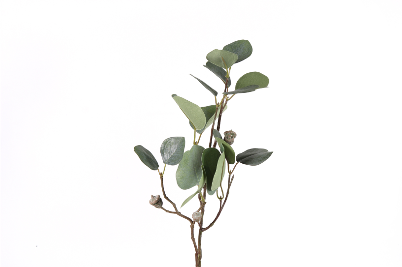 Countryfield Blad Myrtaceae Brent S 2x14x56cm - groen