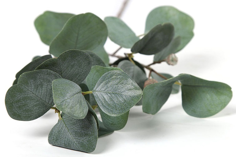 Countryfield Kunstbloem Myrtaceae Brent L groen 79cm