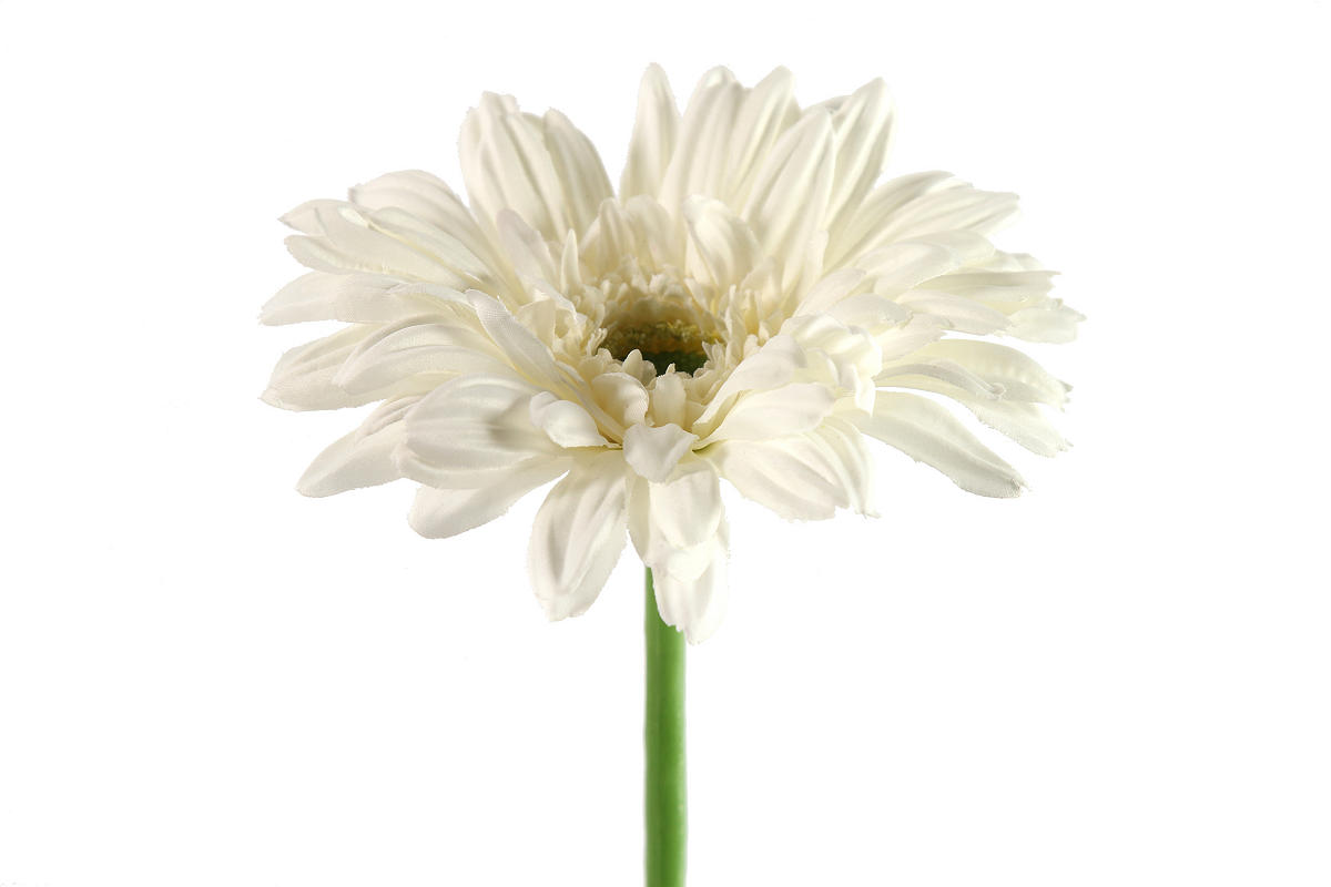 Countryfield Kunstbloem Gerbera Leanne wit 64cm