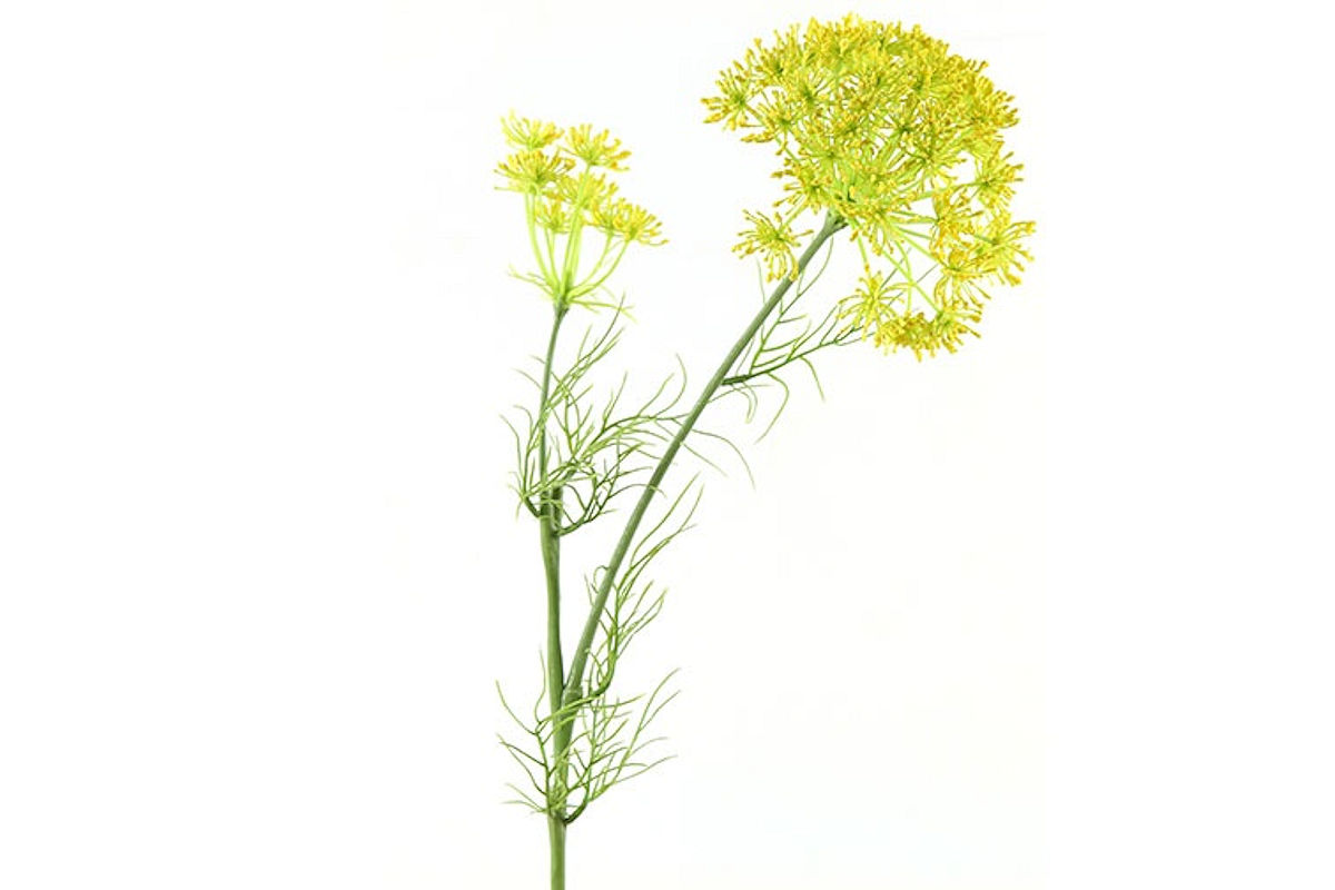 Countryfield Kunstbloem Daucus carota geel 70cm