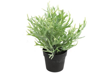 Countryfield Kunstplant Platycerium groen