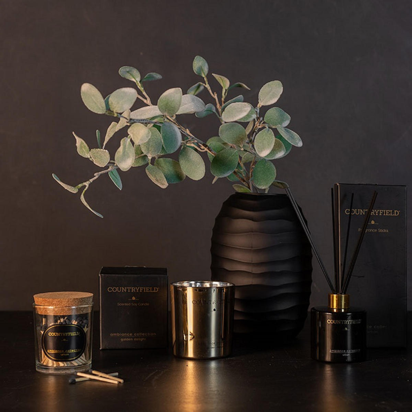 Countryfield Ambiance Lucifers 100 stuks - Urban