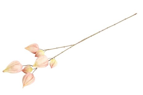 Countryfield Kunstbloem Physalis roze 73cm