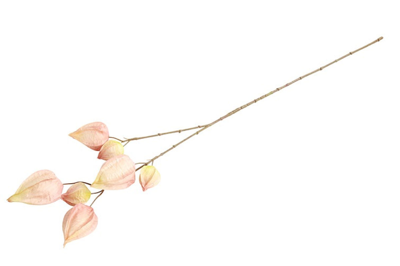 Countryfield Kunstbloem Physalis roze 73cm