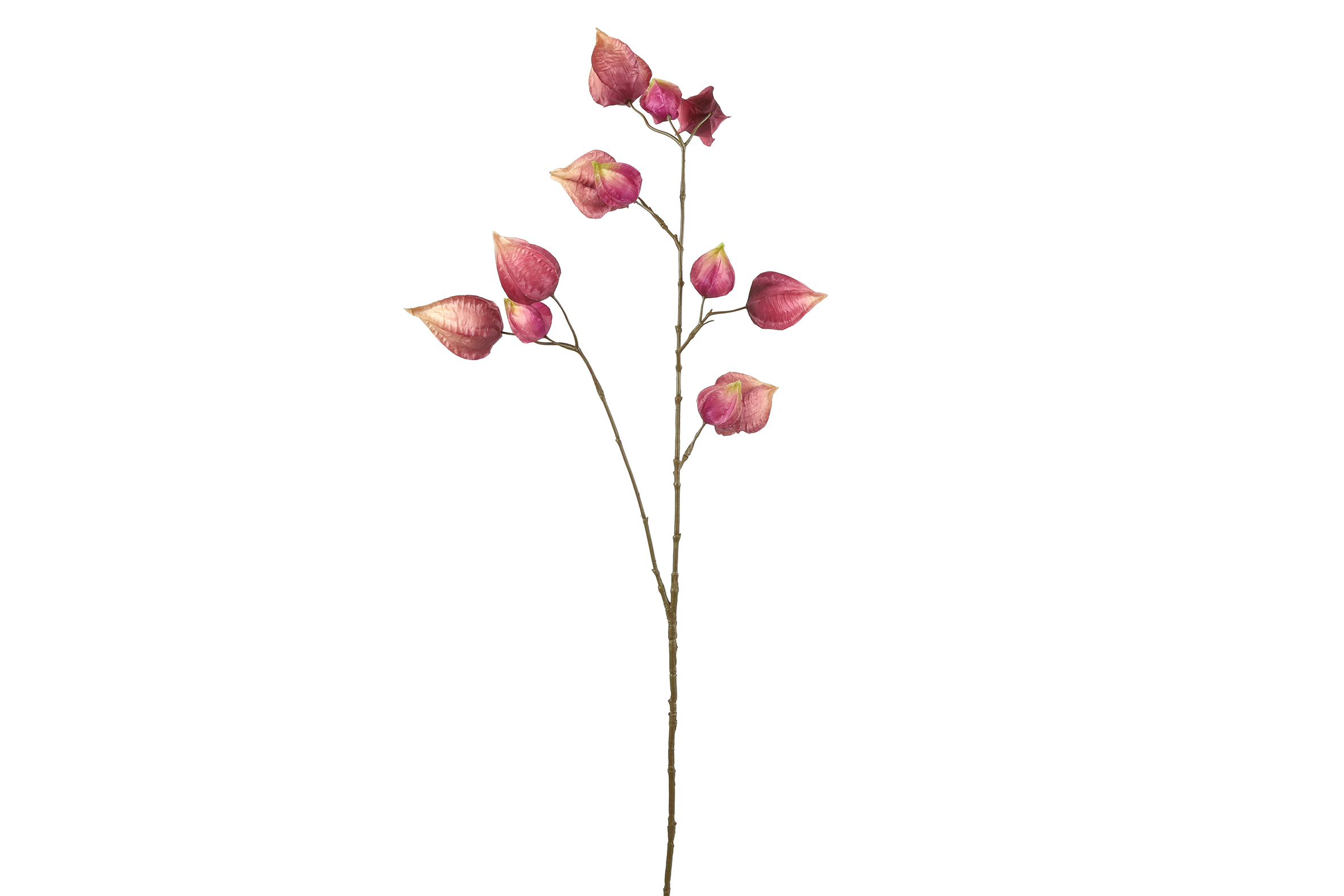 Countryfield Kunstbloem Physalis paars 95cm