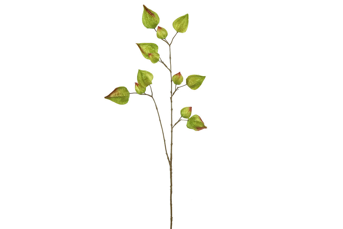 Countryfield Kunstbloem Physalis l.groen 95cm