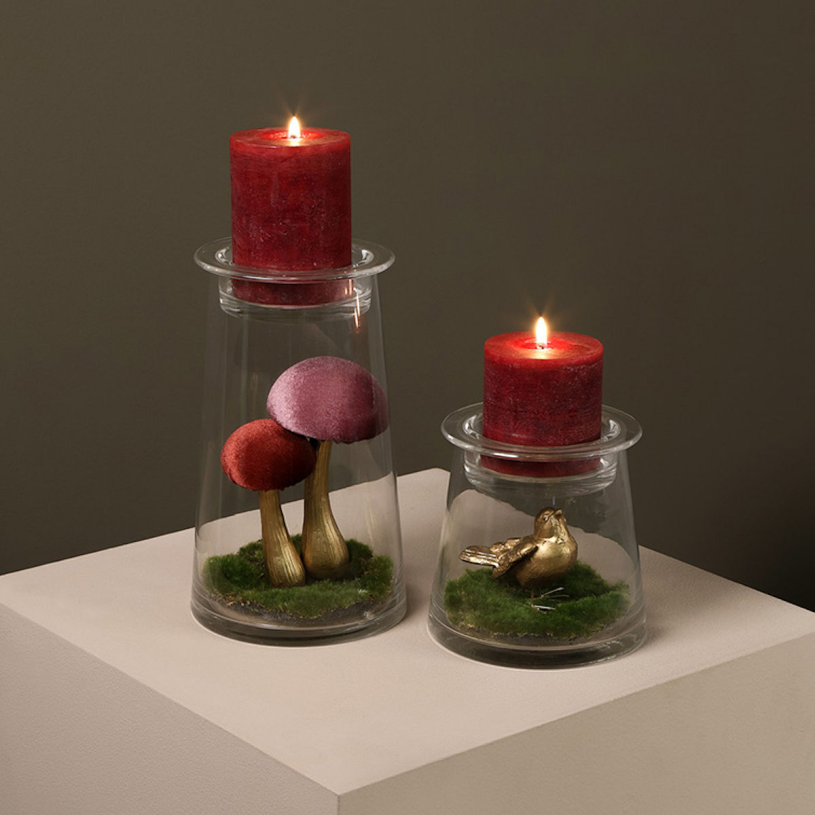 Countryfield Mosschijf marchantiophyta XS groen 14x14x2cm