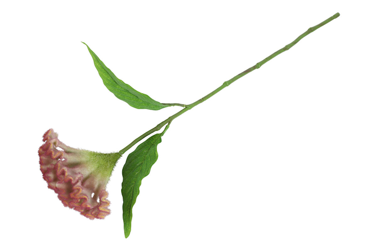 Countryfield Kunstbloem Celosia l.paars 62cm