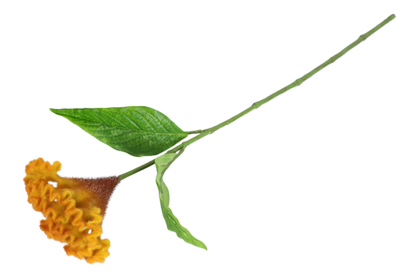 Countryfield Kunstbloem Celosia oranje 62cm