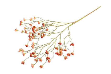 Countryfield Kunstbloem Prunus mume S rood 92cm