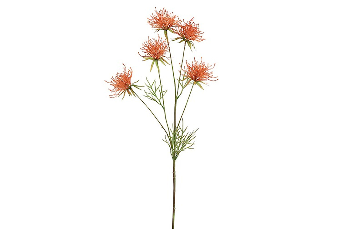 Countryfield Kunstbloem Hakea oranje 75cm