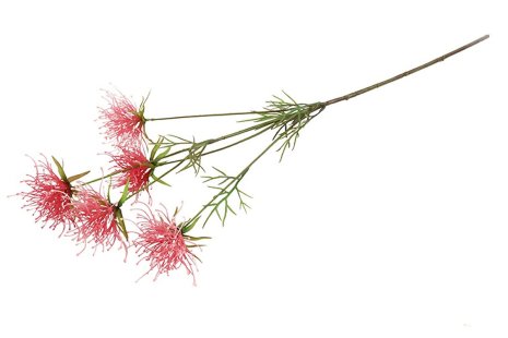 Countryfield Kunstbloem Hakea d.roze 75cm