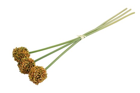 Countryfield Kunstbloem Allium sativum oranje 55cm