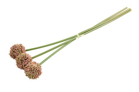 Countryfield Kunstbloem Allium sativum roze 55cm