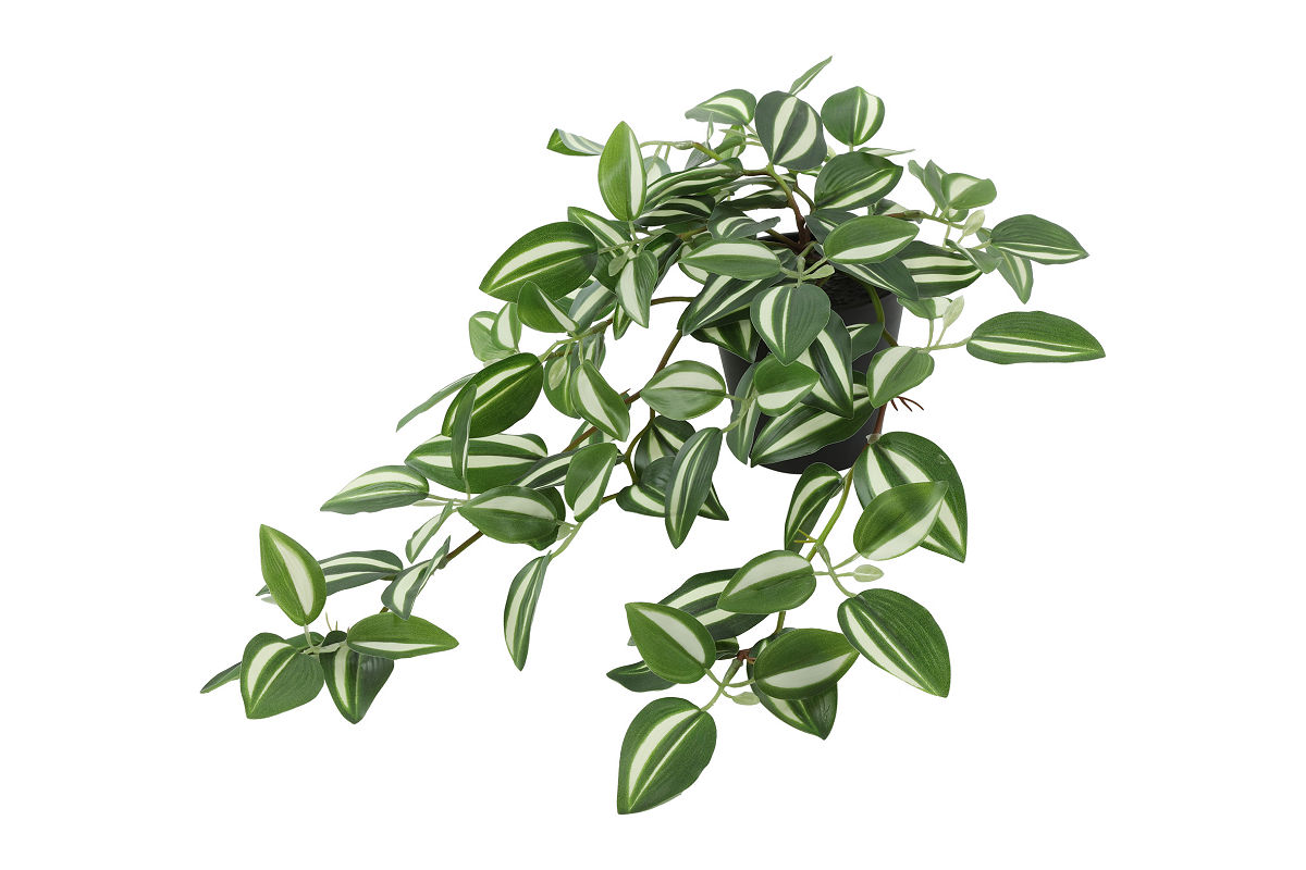 Countryfield Kunstplant steker/hang Tradescantia 23x30x50cm