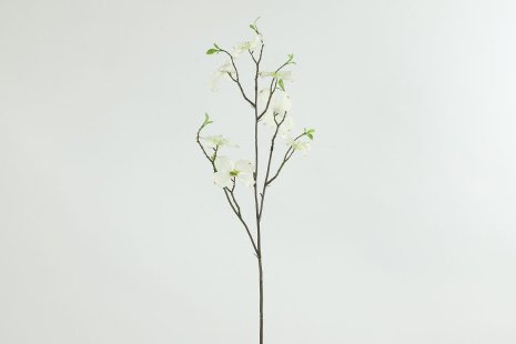 Countryfield Kunstbloem Cornus M wit 5x20x66cm