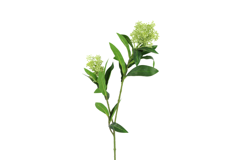 Countryfield Kunstbloem Skimmia groen 72cm