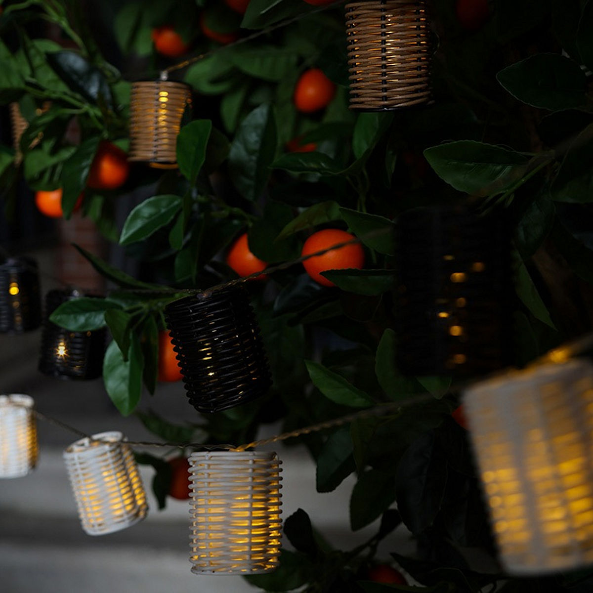 Countryfield LED guirlande Kacy naturel