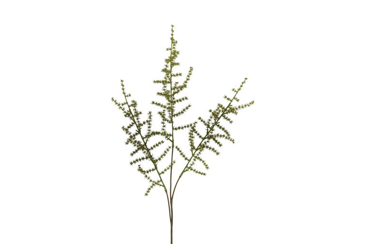 Countryfield Kunstblad Asparagus setaseus S groen 73cm