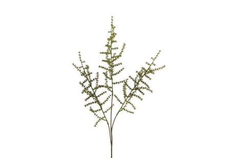 Countryfield Kunstblad Asparagus setaseus S groen 73cm