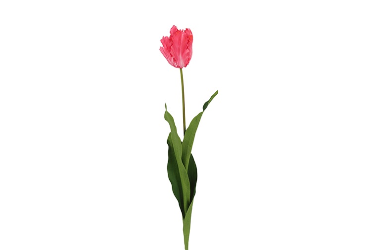 Countryfield Kunstbloem Tulipa (Parrot French) roze 65cm