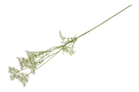 Countryfield Kunstbloem Anethum wit 80cm