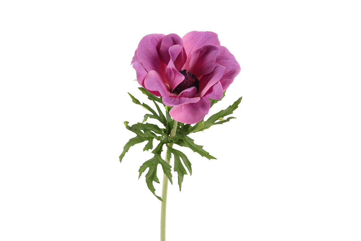 Countryfield Kunstbloem Anemone L lila 8x6x52cm