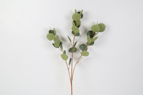Countryfield Blad Eucalyptus populus 15x12x80cm - groen