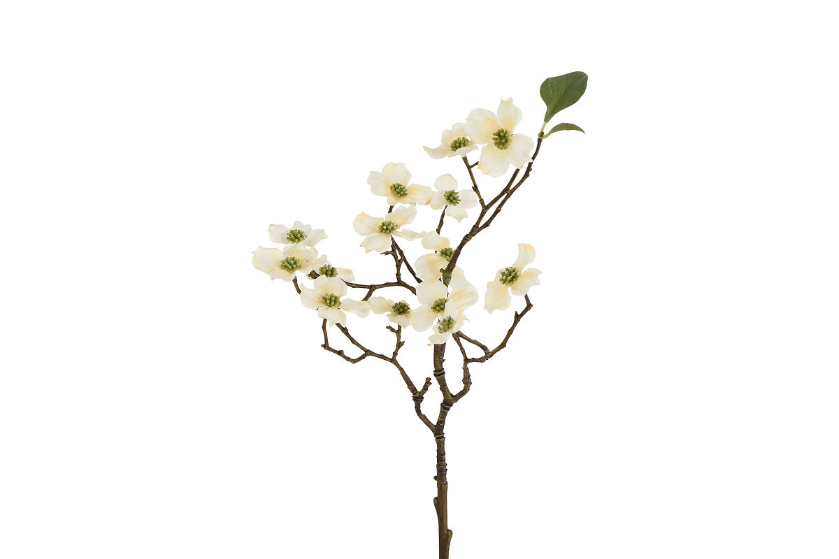 Countryfield Kunstbloem Cornus S crème 10x10x41cm