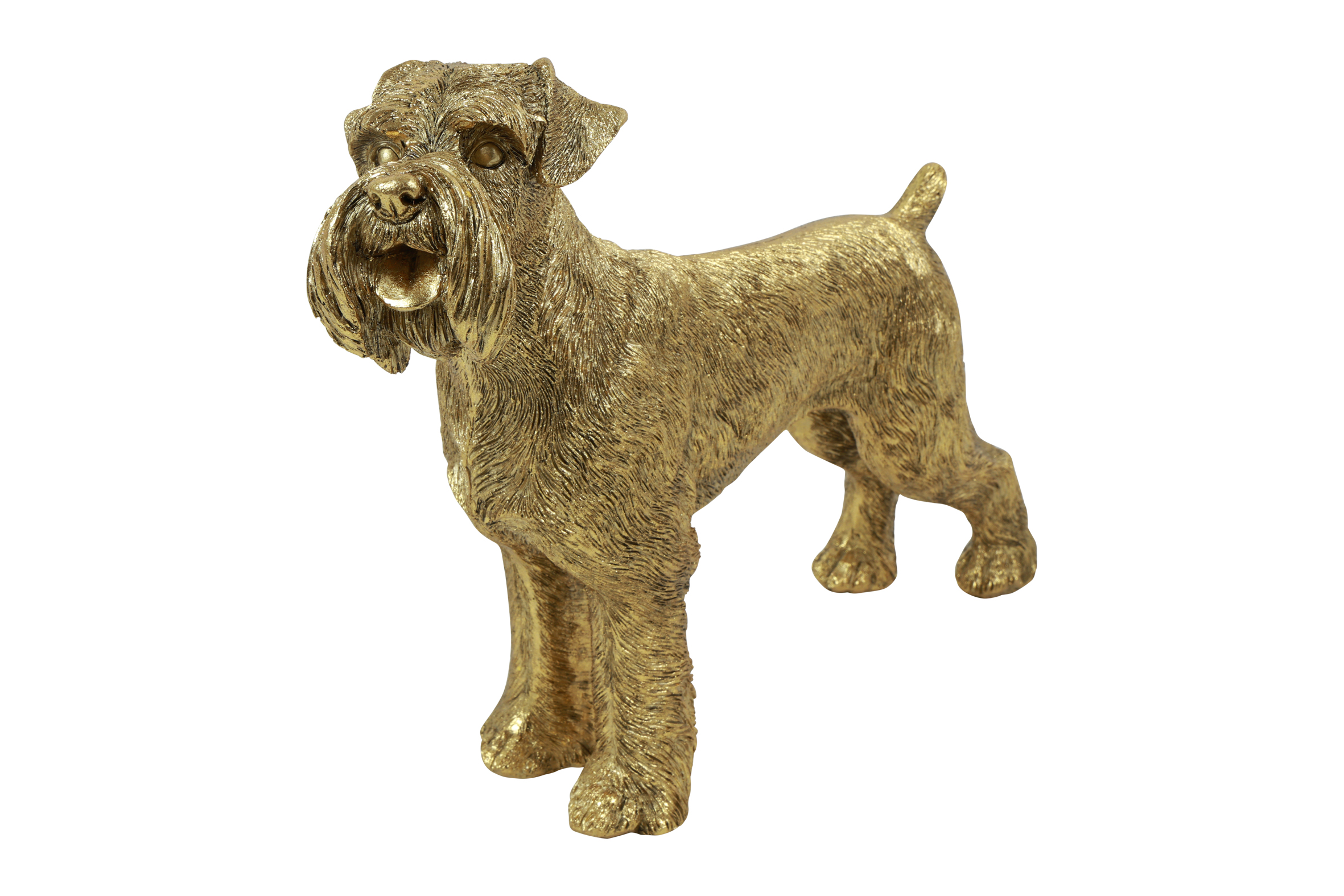 Countryfield Hond Schnauzer Brutis L 33x9x24cm - goud