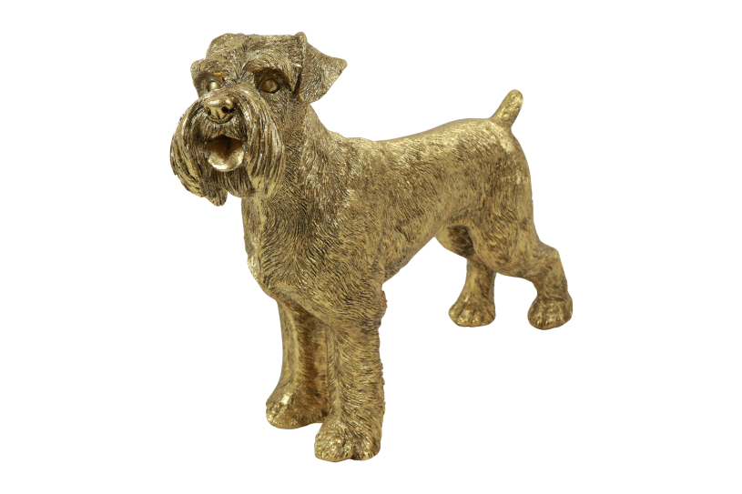 Countryfield Hond Schnauzer Brutis L 33x9x24cm - goud