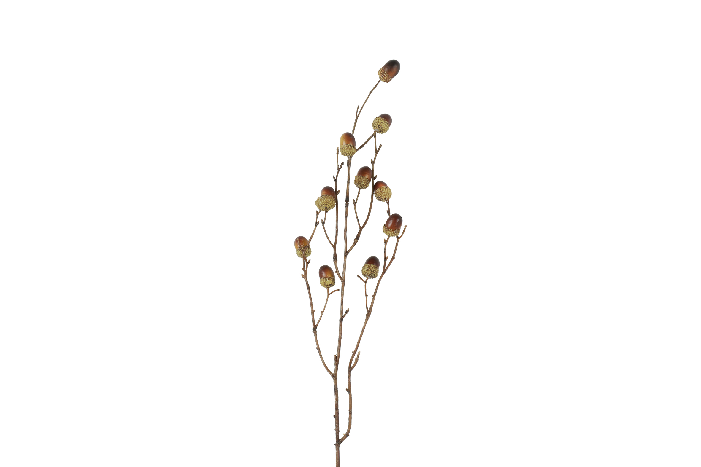 Countryfield Tak Qurecus M 4x17x76cm - bruin