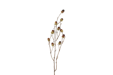 Countryfield Tak Qurecus M 4x17x76cm - bruin