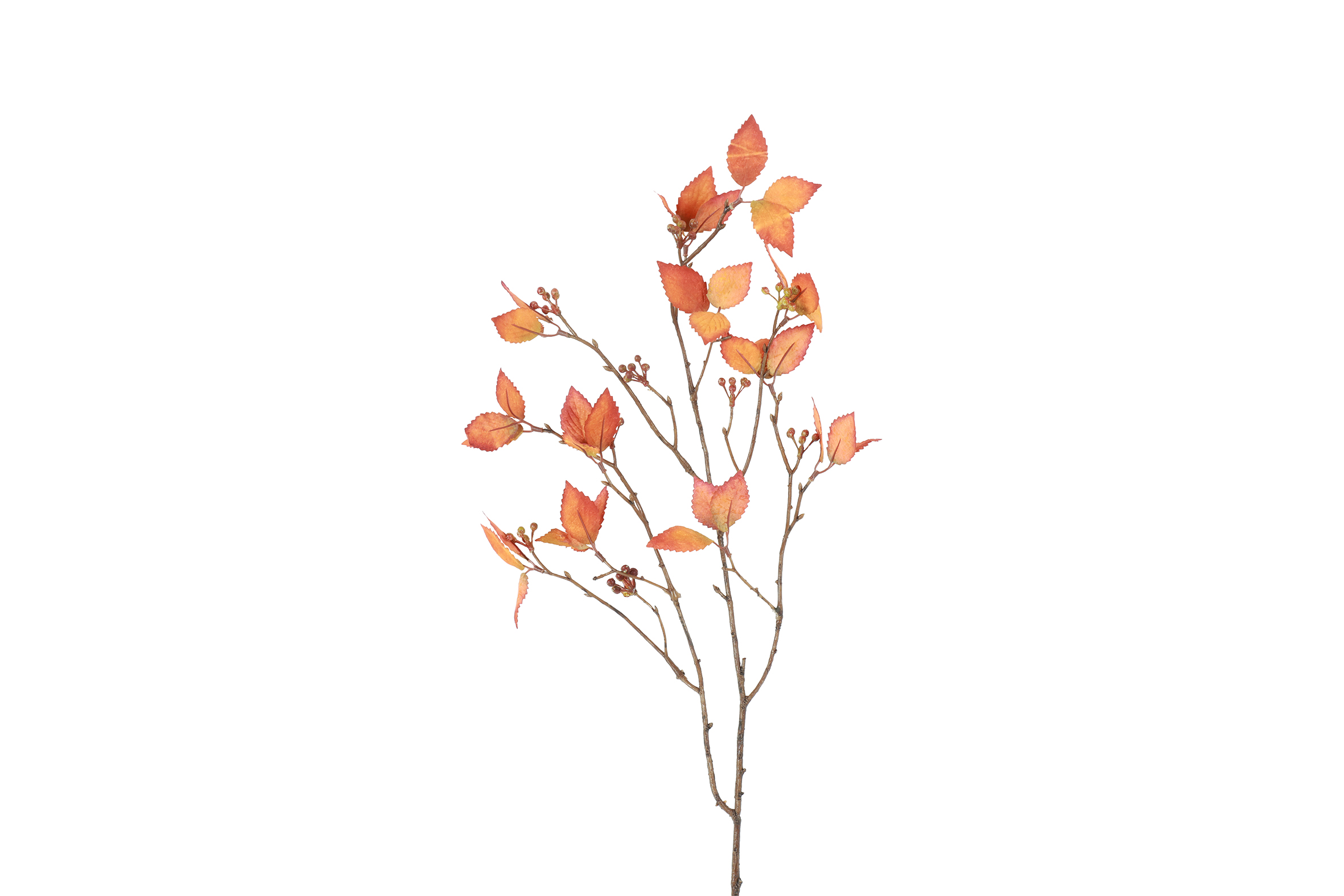 Countryfield Blad Betula 25x8x78cm - oranje