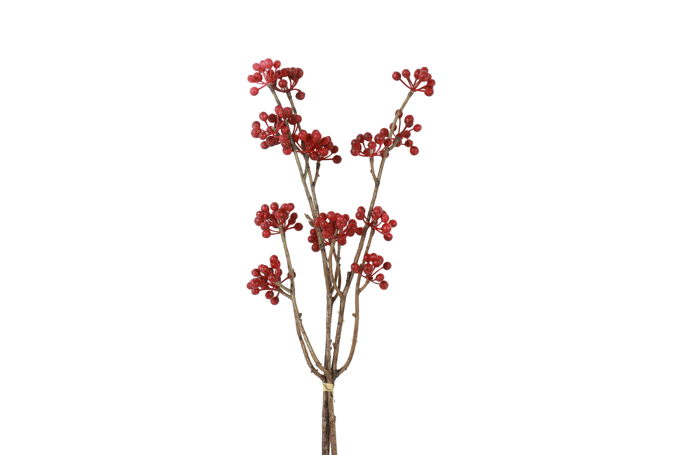 Countryfield Bundel Hedera helix L 15x6x61cm - rood