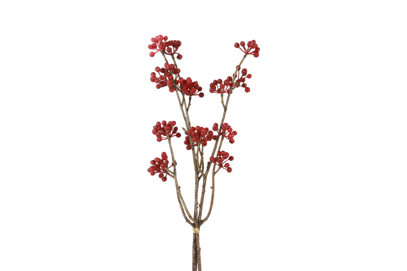 Countryfield Bundel Hedera helix L 15x6x61cm - rood