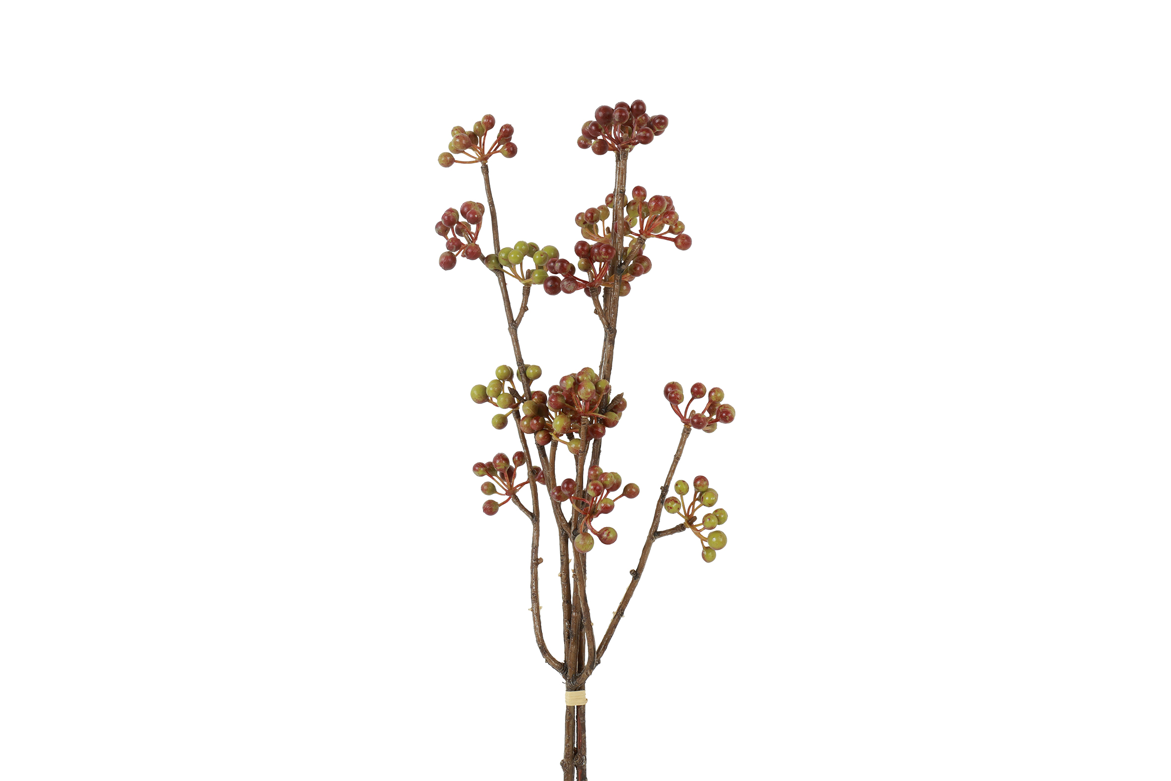 Countryfield Bundel Hedera helix L 15x6x61cm - bruin/groen