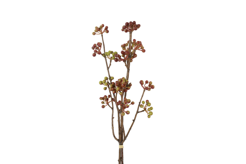 Countryfield Bundel Hedera helix L 15x6x61cm - bruin/groen