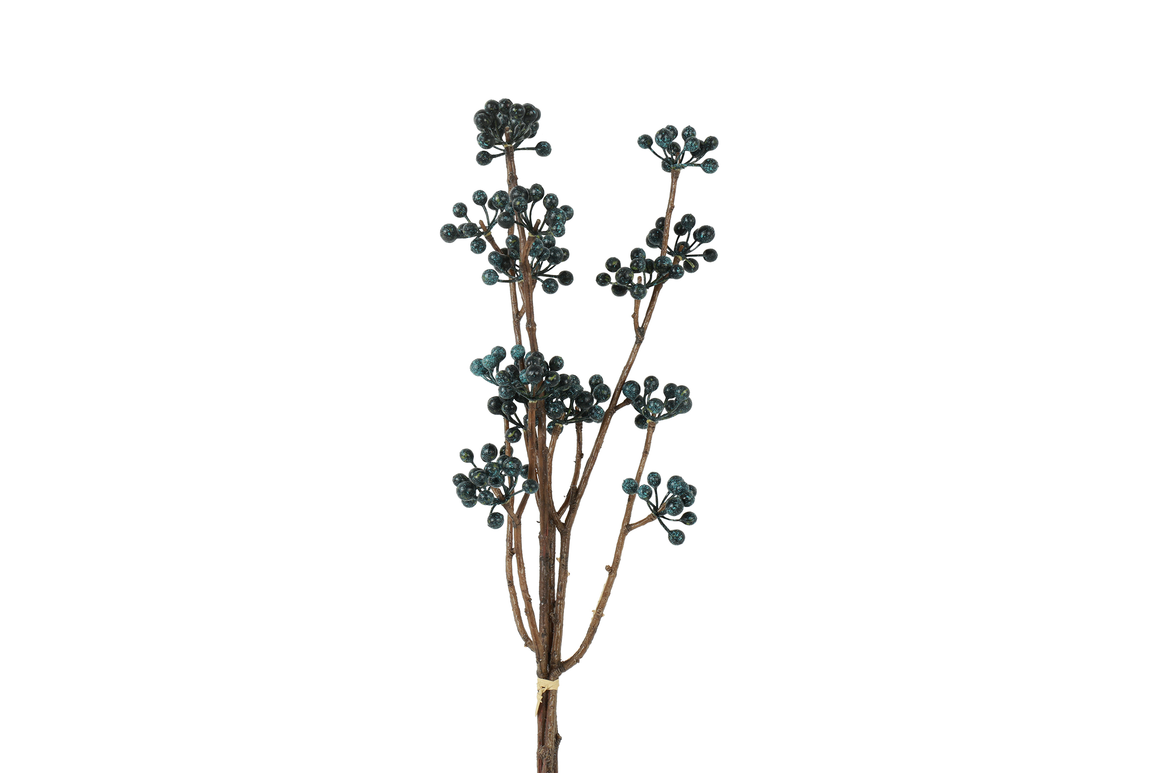 Countryfield Bundel Hedera helix L 15x6x61cm - blauw