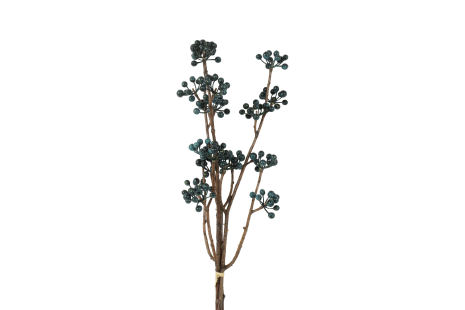 Countryfield Bundel Hedera helix L 15x6x61cm - blauw
