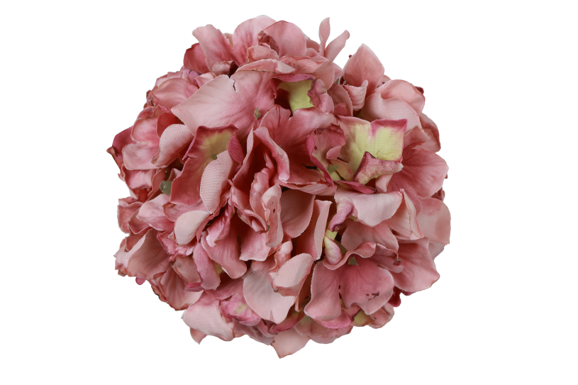 Countryfield Bloem Hydrangea Grandy S 10x10x10cm - mauve