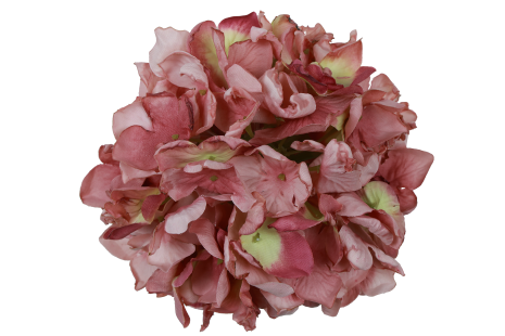 Countryfield Bloem Hydrangea Grandy M 13x13x13cm - mauve