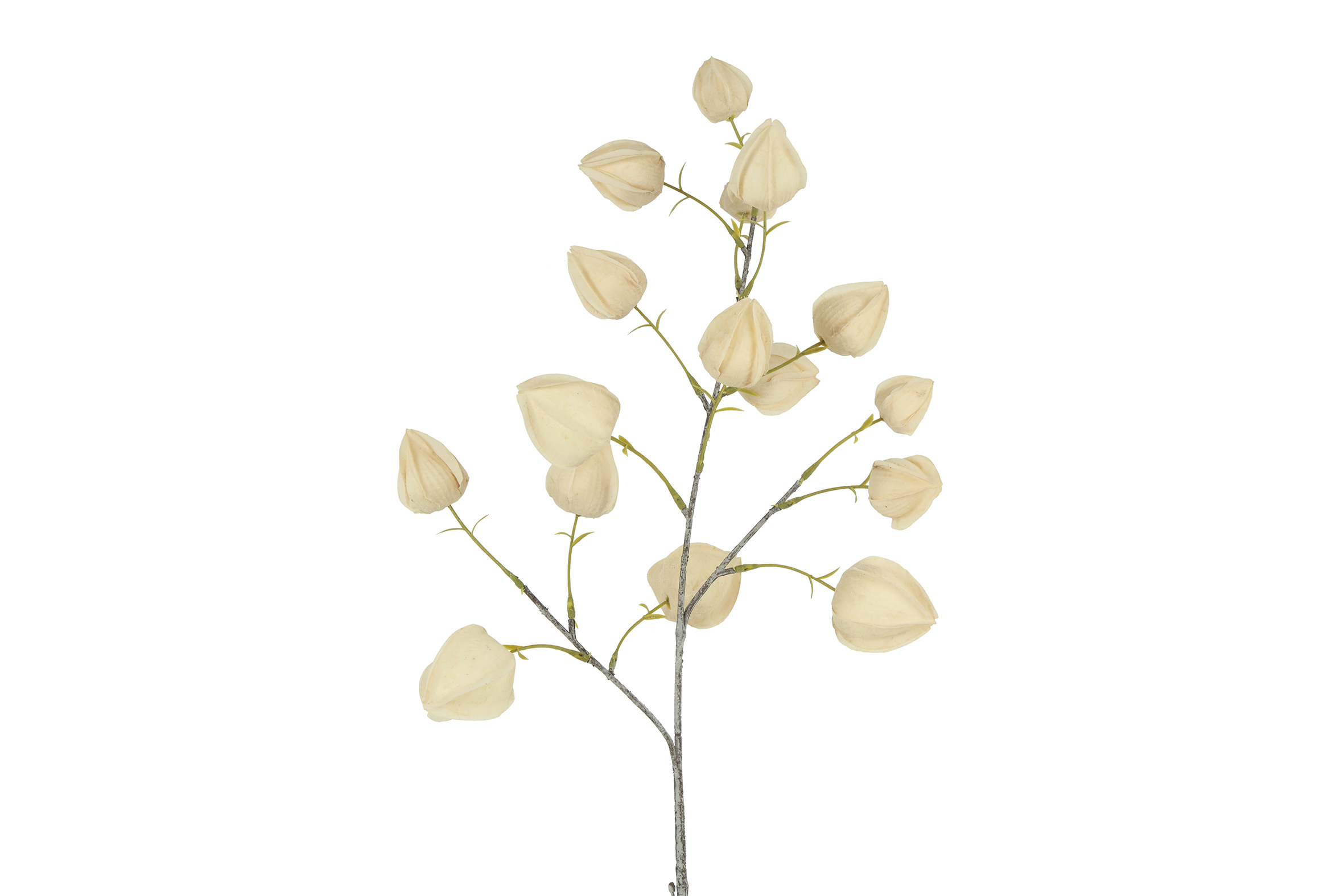 Countryfield Bloem Physalis 16x16x82cm - beige