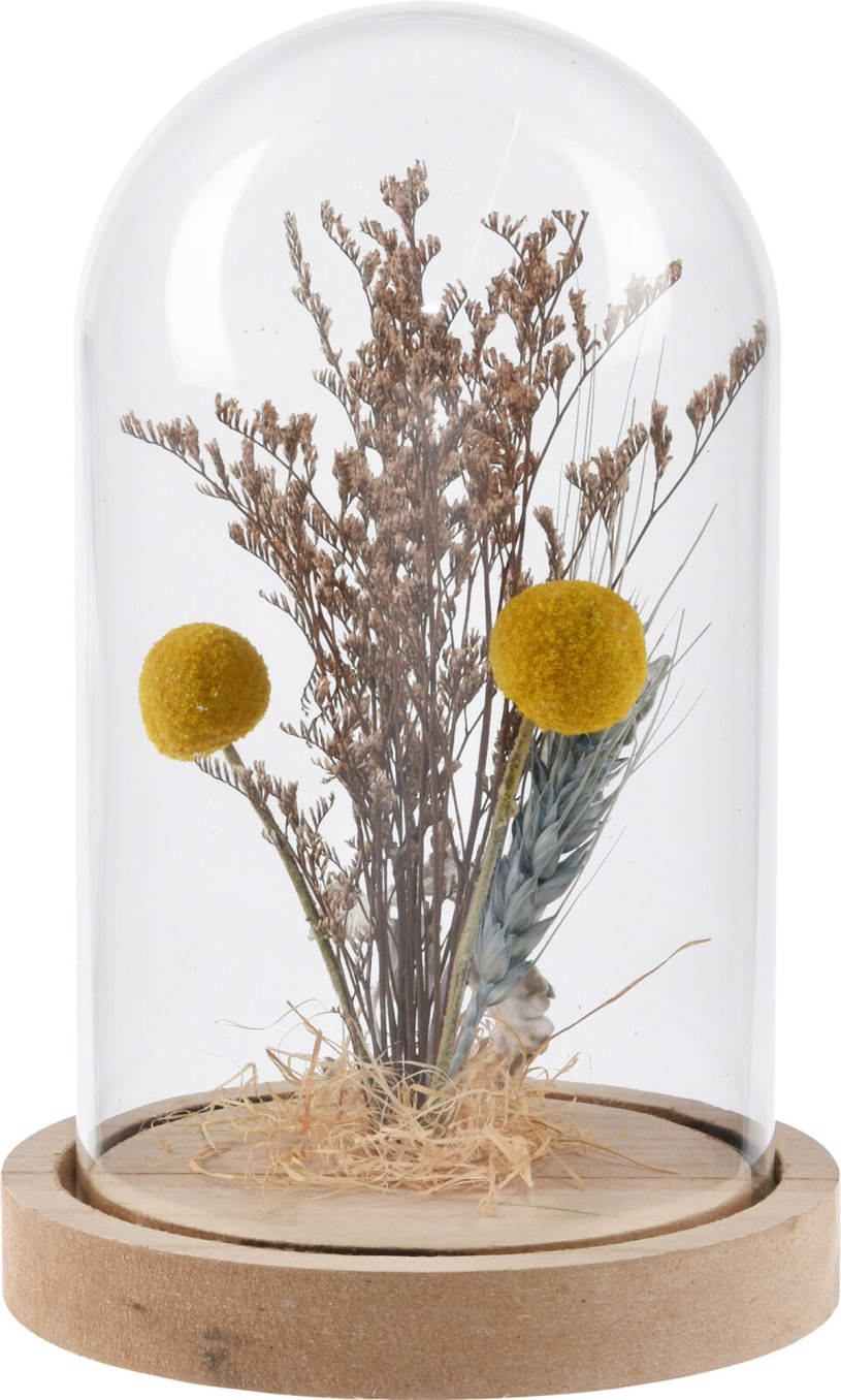 Droogbloem in stolp 140x205mm assorti