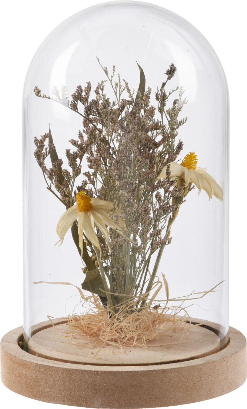 Droogbloem in stolp 140x205mm assorti