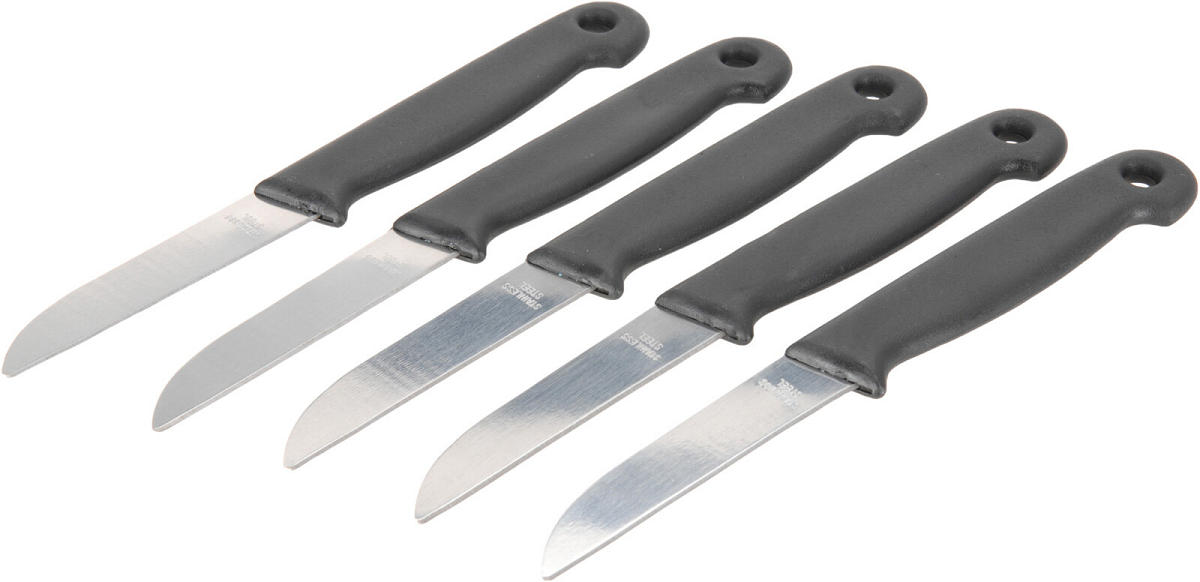 EH Schilmesjes RVS set van 5 stuks