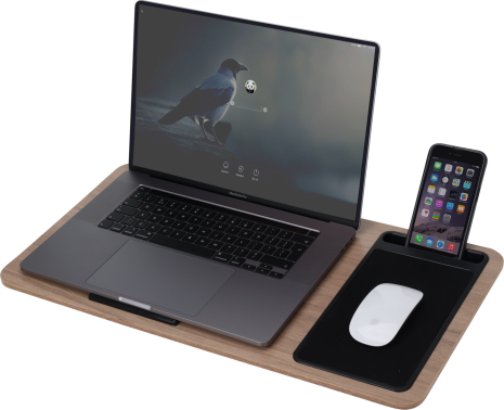 Laptop tray met kussen 575x305x40mm - bruin