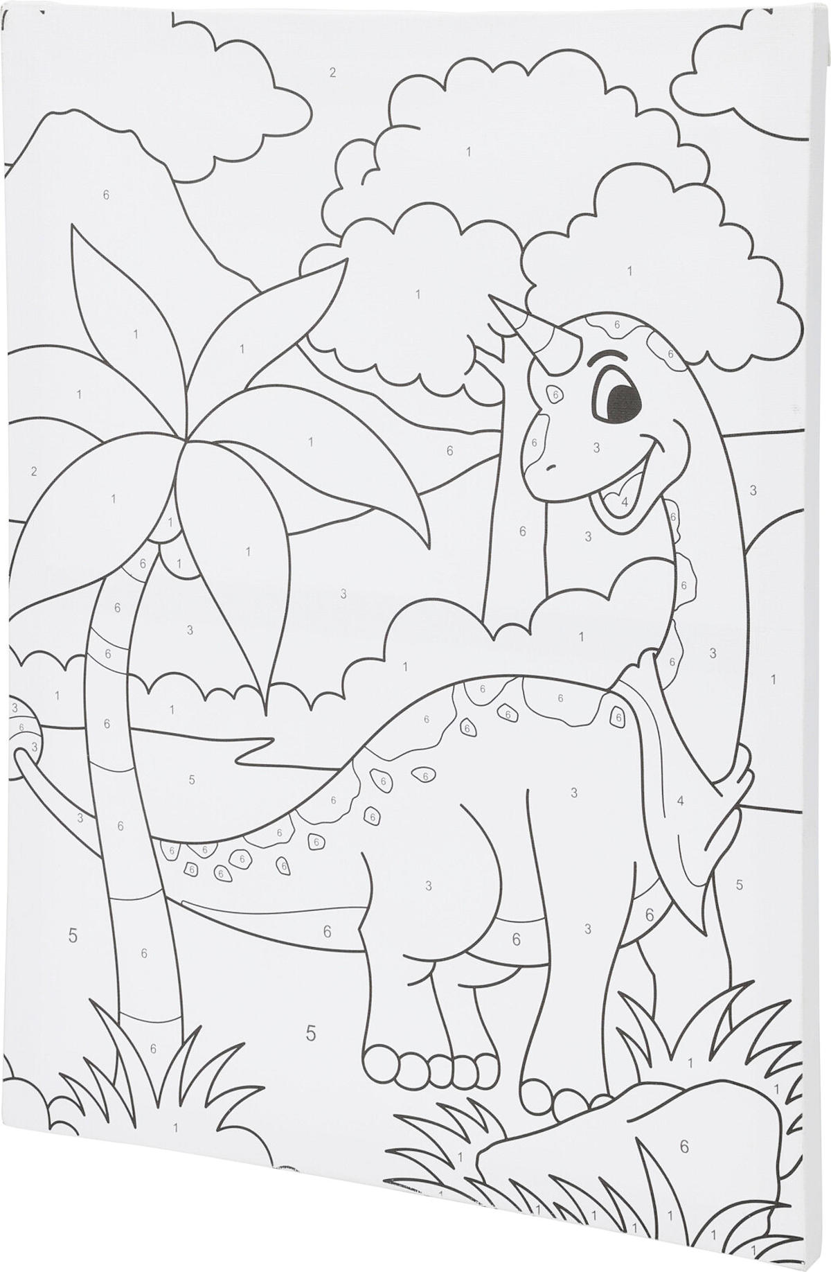 Canvas schilderset op nummer assorti