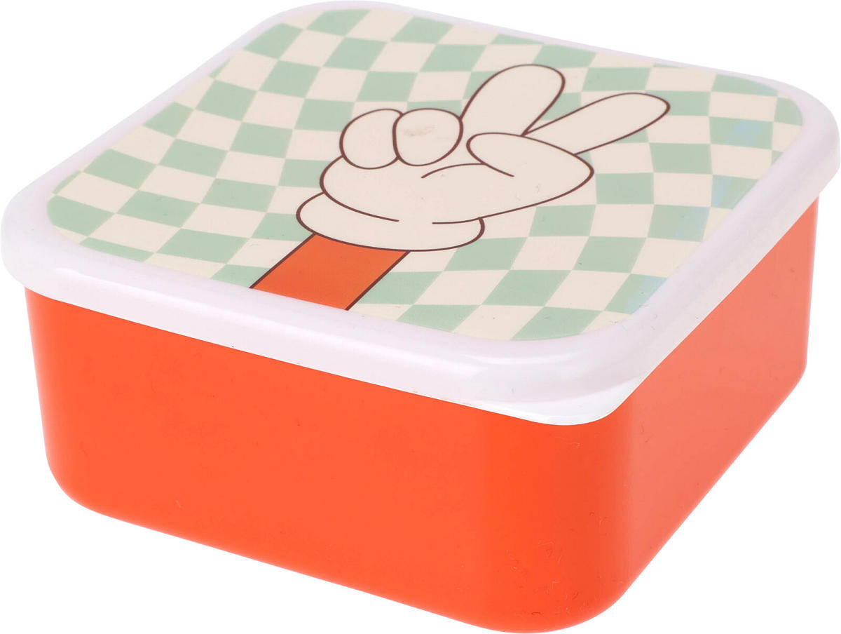 Lunchbox set 3 stuks assorti